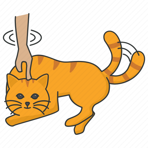Cat, reaction, training, pet, feline, tabby icon - Download on Iconfinder