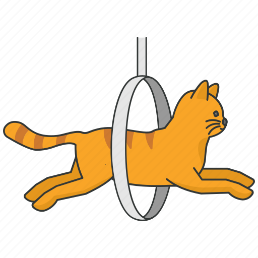Pet, cat, training, jumping, cat playing, activities icon - Download on Iconfinder