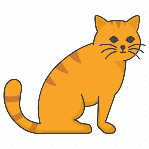 Pet, feline, tabby, cat, ginger, yellow, kitty icon - Download on Iconfinder