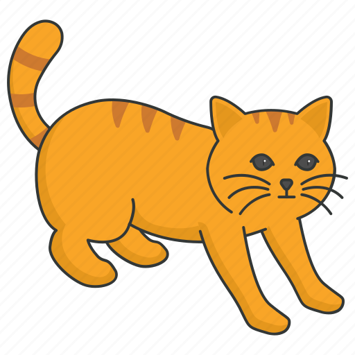 Pet, cat, kitty, domestic, yellow, tabby, feline icon - Download on Iconfinder