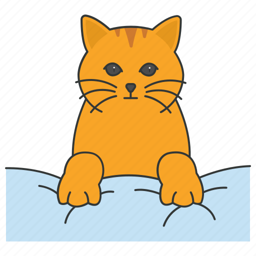 Pet, domestic, cat, animal, cute, kitten icon - Download on Iconfinder