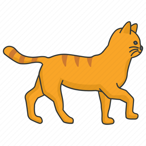 Cat, pet, kitty, kitten, feline, tabby icon - Download on Iconfinder