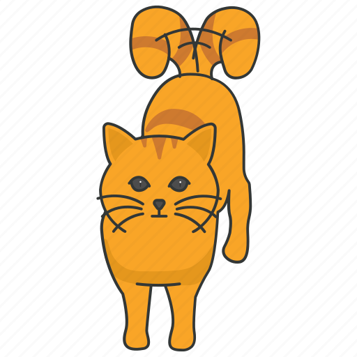 Cat, reaction, happy, expression, feeling, emoticons icon - Download on Iconfinder