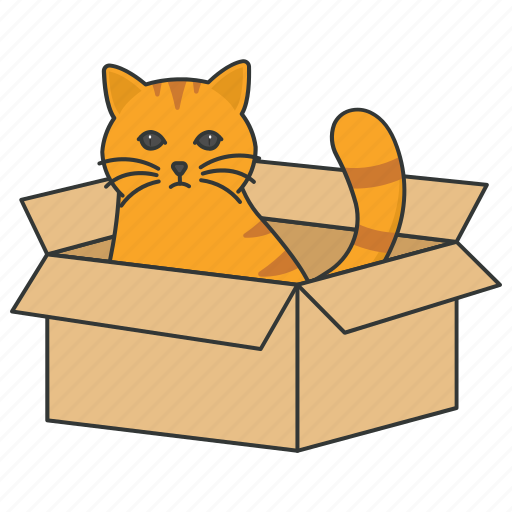 Cat, box, cat playing, domestic, pet, tabby, kitten icon - Download on Iconfinder