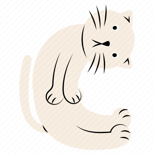 Cat, c, letter c, english, alphabet, pose, animal icon - Download on Iconfinder