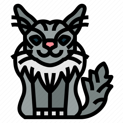 Maine, coon, cat, breeds, animal icon - Download on Iconfinder