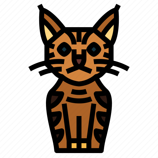 Pixie, bob, cat, breeds, animal icon - Download on Iconfinder