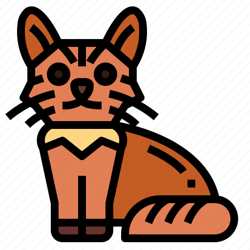 Somali, cat, breeds, animal icon - Download on Iconfinder