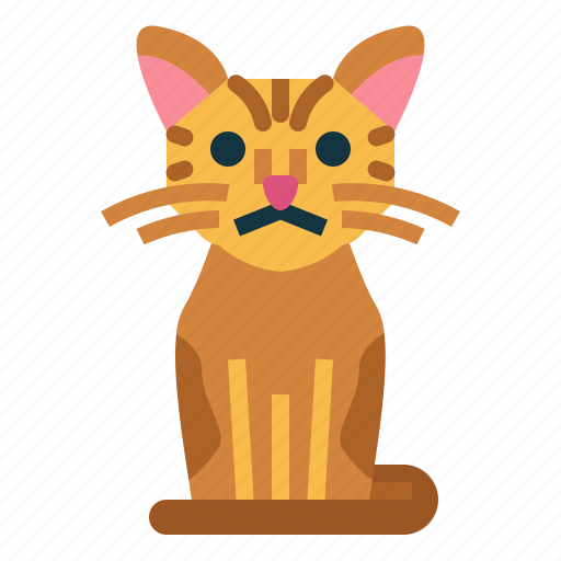 American, wirehair, cat, breeds, animal icon - Download on Iconfinder