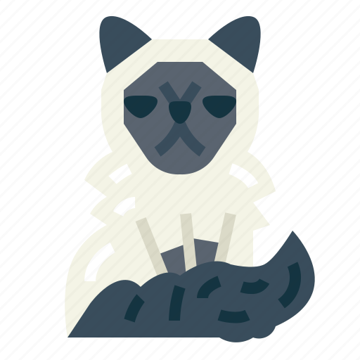 Himalayan, cat, breeds, animal icon - Download on Iconfinder