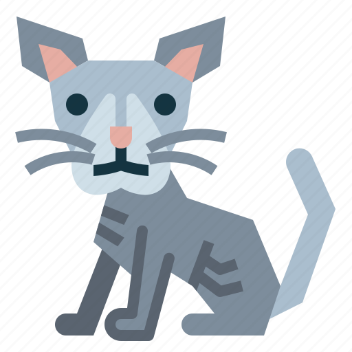 Oriental, cat, breeds, animal icon - Download on Iconfinder
