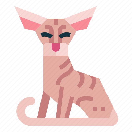 Peterbald, cat, breeds, animal icon - Download on Iconfinder