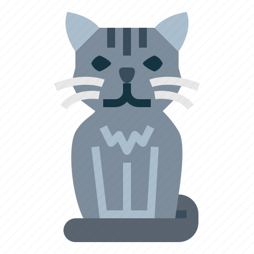 Shorthair, cat, breeds, animal icon - Download on Iconfinder