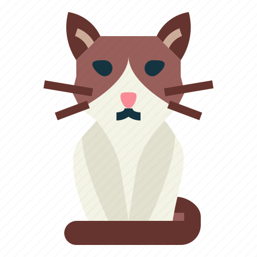 Snowshoe, cat, breeds, animal icon - Download on Iconfinder