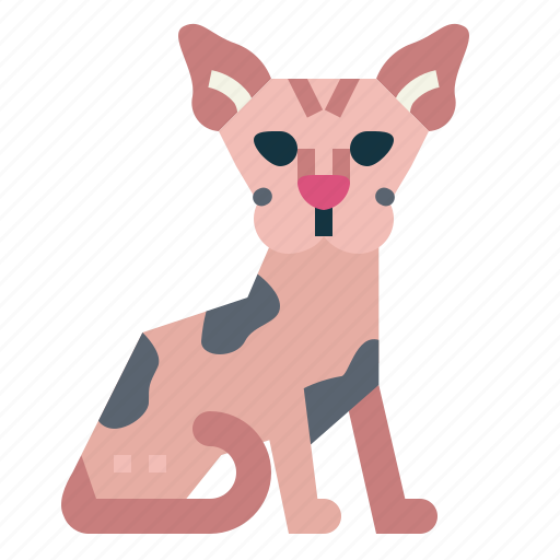 Sphynx, cat, breeds, animal icon - Download on Iconfinder