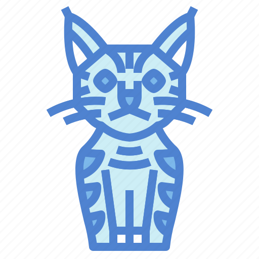 Pixie, bob, cat, breeds, animal icon - Download on Iconfinder