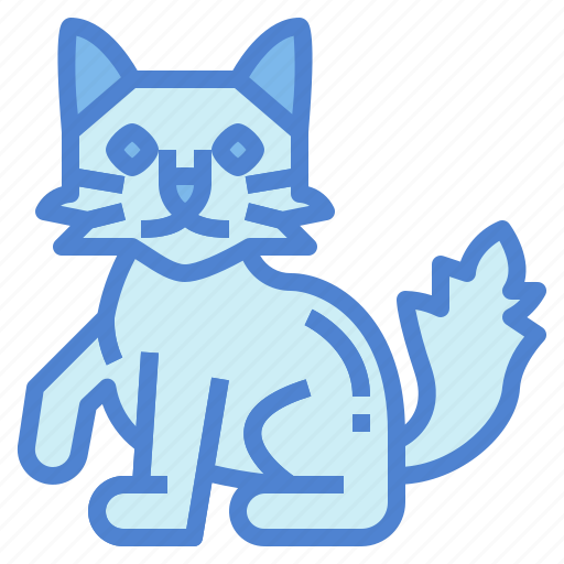 Turkish, cat, breeds, animal icon - Download on Iconfinder