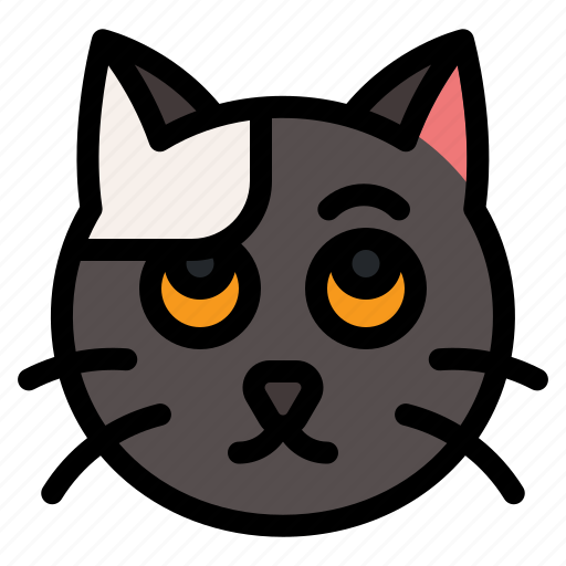 Scared, cat, animal, expression, emoji icon - Download on Iconfinder