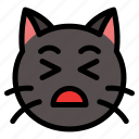 pain, cat, animal, expression, emoji