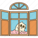 window, cat, pet, staring, looking, happy, animal