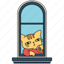 window, cat, eating, bread, morning, bored, cat life