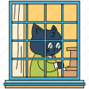 window, cat, playing, piano, activity, musician, cat life