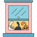 window, kittens, cats, pet, looking, animal, cat life