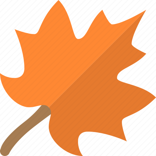 Autumn, leaf, fall, flower, plant icon - Download on Iconfinder