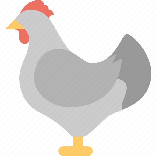 Chicken, animal, easter, egg, food, meat, turkey icon - Download on Iconfinder