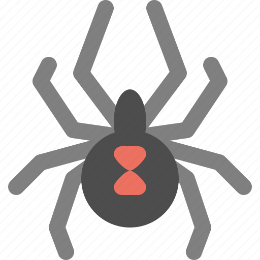 Spider, animal, cobweb, halloween, insect icon - Download on Iconfinder