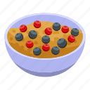 berry, bowl, cartoon, cereal, flakes, food, isometric