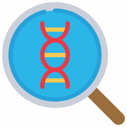 Analyse, dna, science, magnifying, glass, analysis icon - Download on Iconfinder
