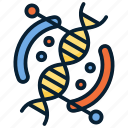 dna, chromosome, science, genetic, molecule, helix, chemistry, spiral, structure