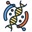 dna, chromosome, science, genetic, molecule, helix, chemistry, spiral, structure 