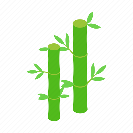 Bamboo, decoration, isometric, leaf, nature, plant, tree icon - Download on Iconfinder