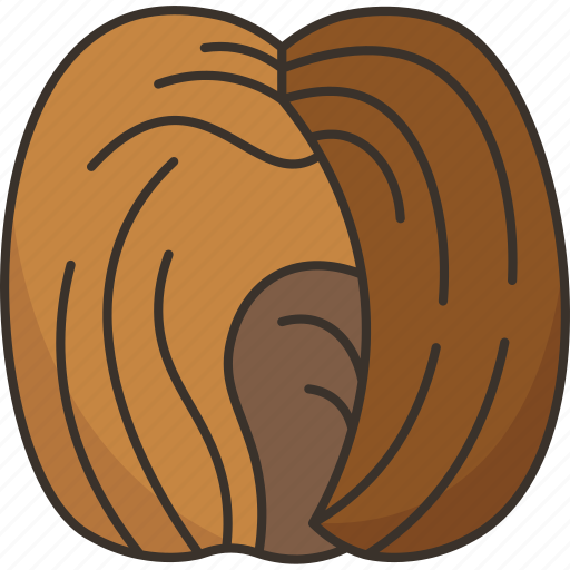 Dates, honey, dried, sweet, herbal icon - Download on Iconfinder