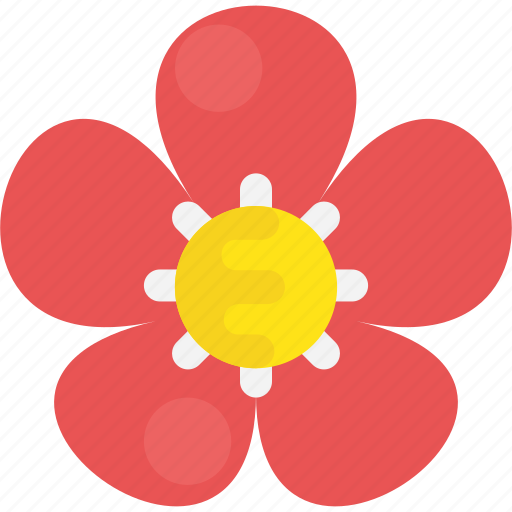 Asian flower, chinese flower, flower, peony, pink flower icon - Download on Iconfinder