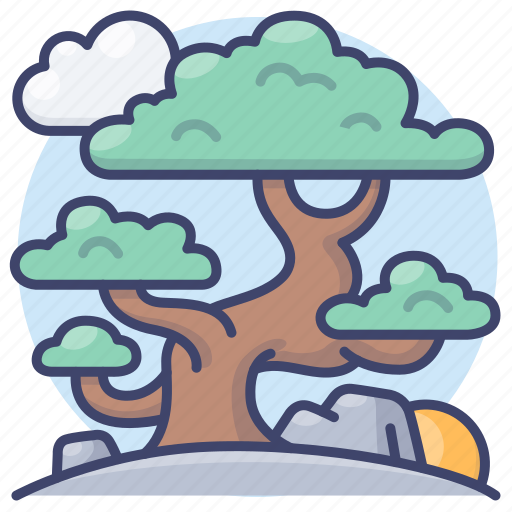 Chinese, pine, tree, culture icon - Download on Iconfinder