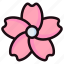 sakura, flower, blossom, floral, pink, blooming 