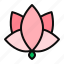 lotus, floral, lotus flower 