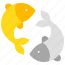 carp, chinese new year, gold, luck, lunar new year, silver, twin koi fish