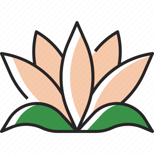 Lotus, flower, floral, garden, plant, nature, natural icon - Download on Iconfinder