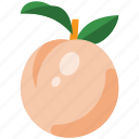 peach, fruit, food, healthy, fresh, sweet, delicious