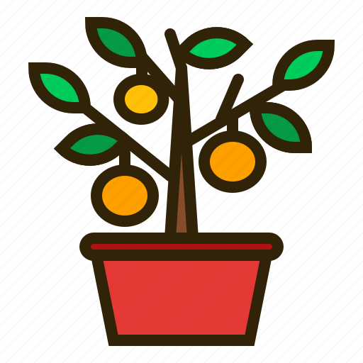 Chinese new year, fruits, kumquat tree, lunar, orange, oriental, spring festival icon - Download on Iconfinder