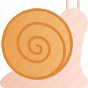 spring, season, snail, animal, shell, slug, spiral