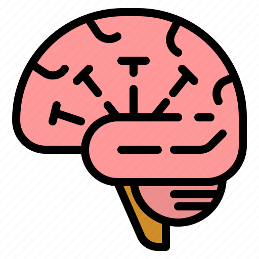 Brain, education, human, medical, people icon - Download on Iconfinder