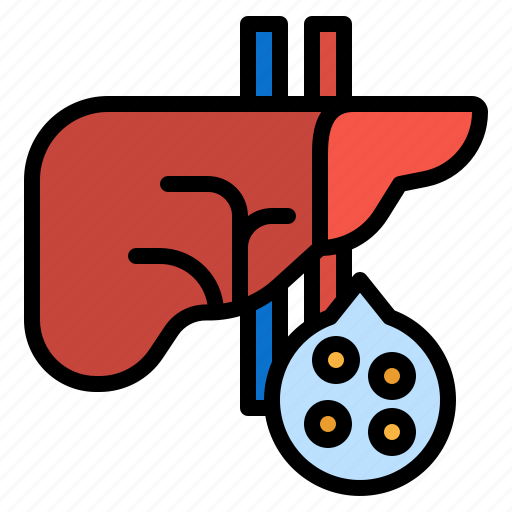 Anatomy, healthcare, liver, medical, physiology icon - Download on Iconfinder