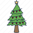 pine, christmas, star, decoration, tree, holiday