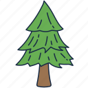 tree, pine, christmas, decoration, nature