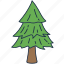 tree, pine, christmas, decoration, nature 